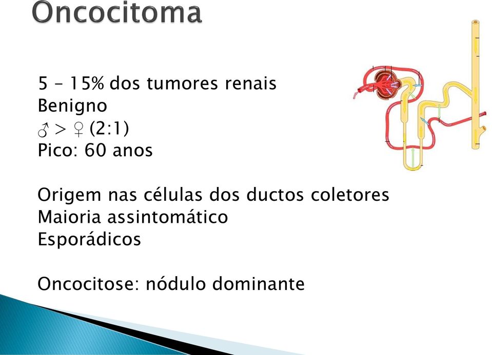 dos ductos coletores Maioria