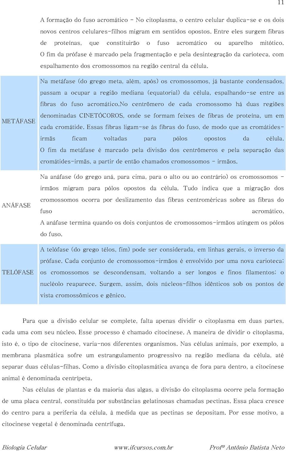 O fim da prófase é marcado pela fragmentação e pela desintegração da carioteca, com espalhamento dos cromossomos na região central da célula.