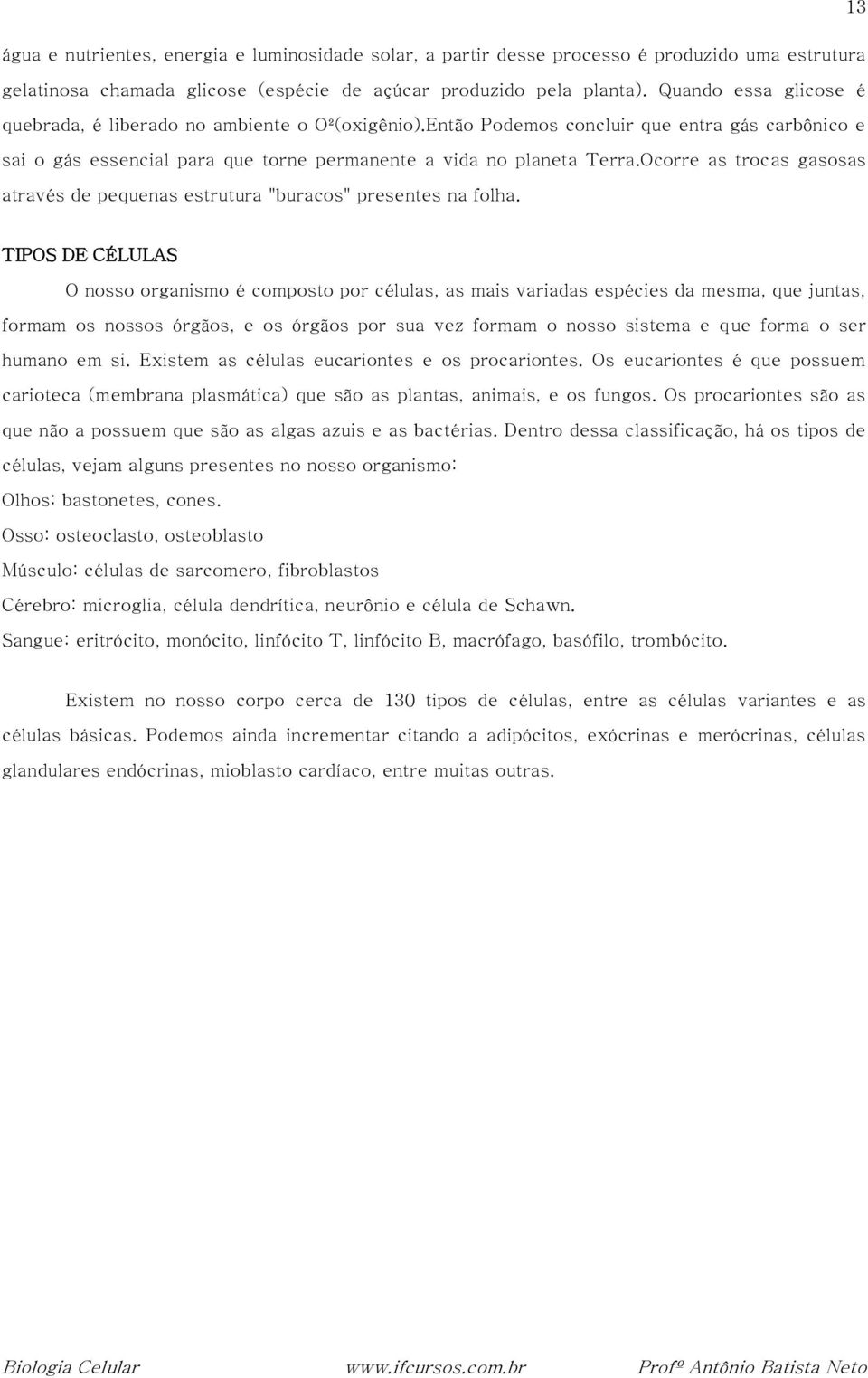 Ocorre as trocas gasosas através de pequenas estrutura "buracos" presentes na folha.