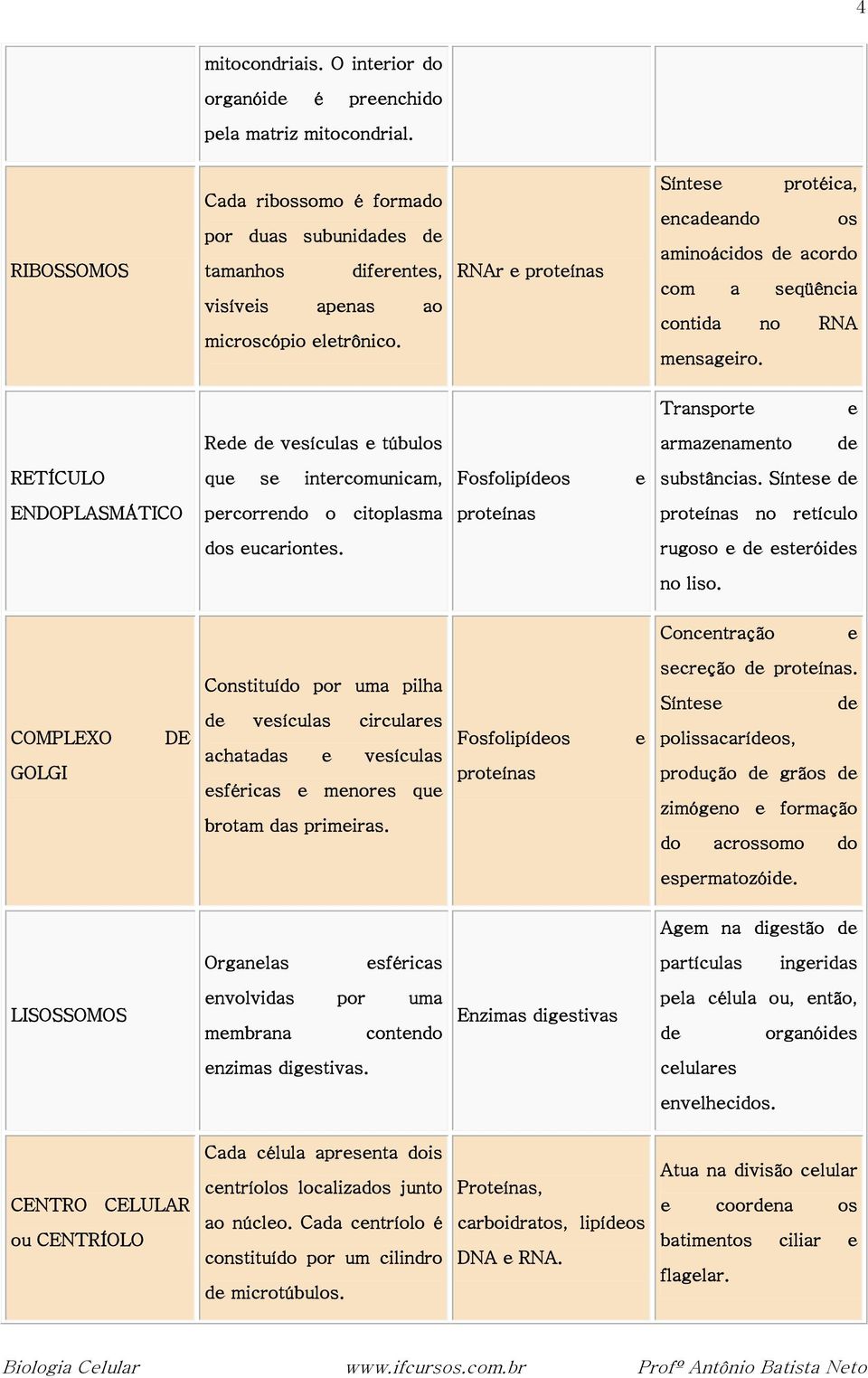 RNAr e proteínas Síntese protéica, encadeando os aminoácidos de acordo com a seqüência contida no RNA mensageiro.