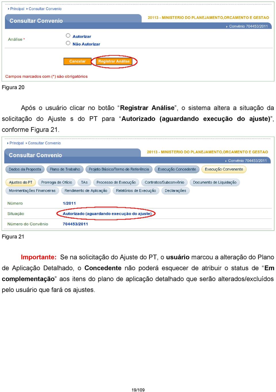 Figura 21 Importante: Se na solicitação do Ajuste do PT, o usuário marcou a alteração do Plano de Aplicação Detalhado, o