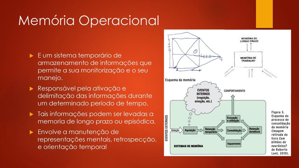 Responsável pela ativação e delimitação das informações durante um determinado período de