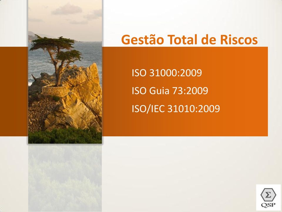 31000:2009 ISO