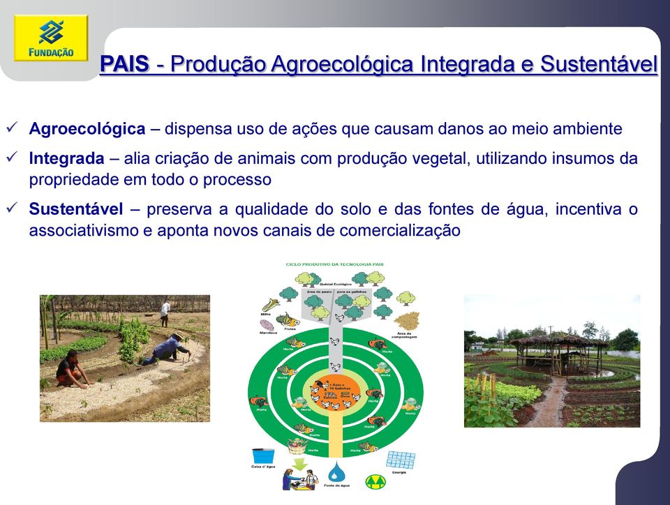 utilizando insumos da propriedade em todo o processo Sustentável preserva a qualidade do