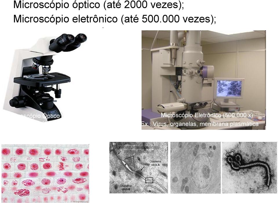 000 vezes); Microscópio Óptico (1000 x) Ex.