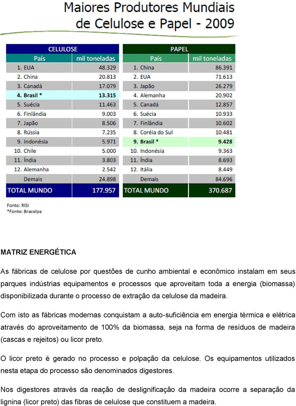 Com isto as fábricas modernas conquistam a auto-suficiência em energia térmica e elétrica através do aproveitamento de 100% da biomassa, seja na forma de resíduos de madeira (cascas e