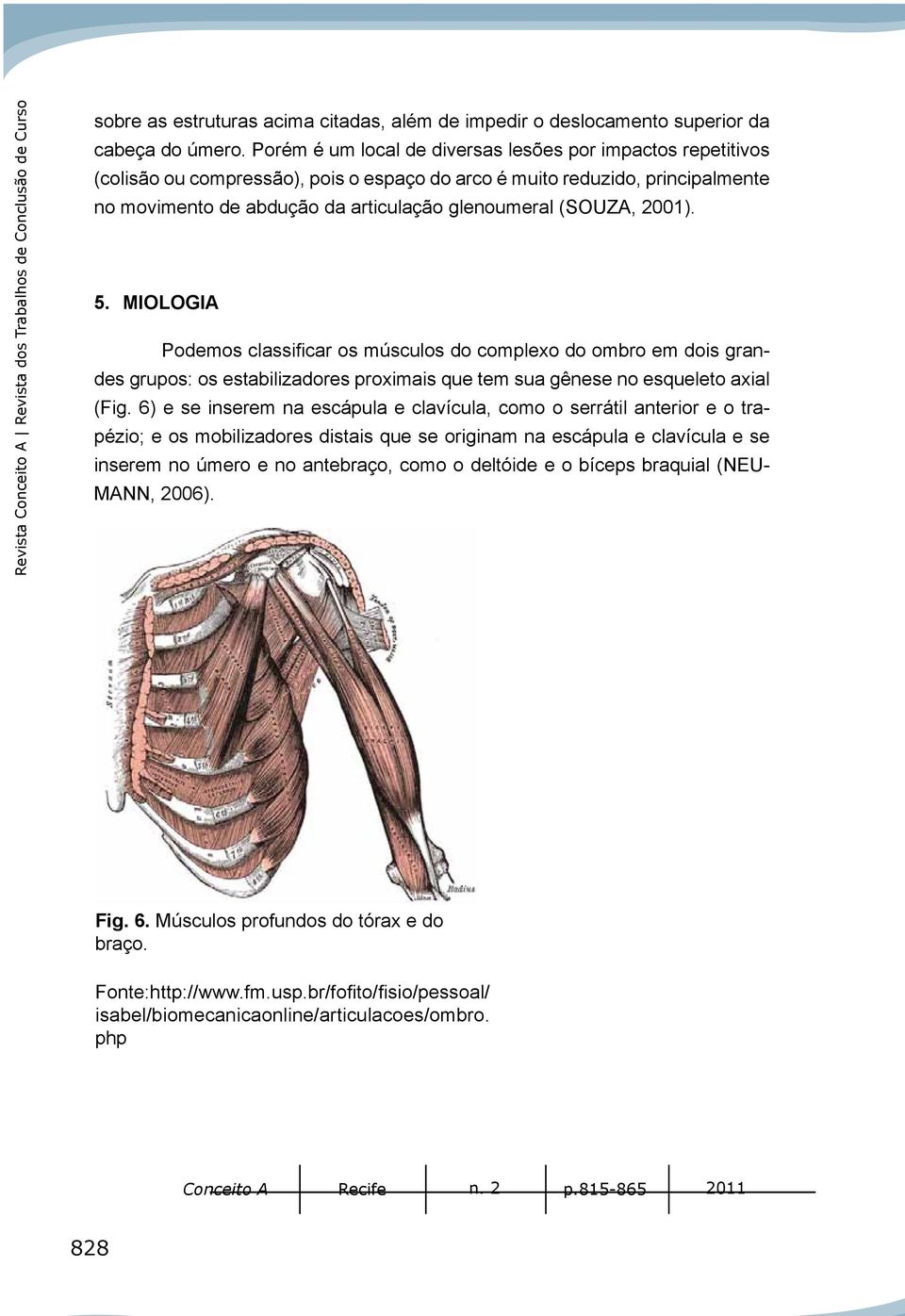 2001). 5. MIOLOGIA Podemos classificar os músculos do complexo do ombro em dois grandes grupos: os estabilizadores proximais que tem sua gênese no esqueleto axial (Fig.