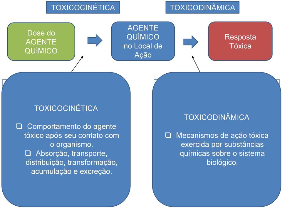 os processos de absorção, Absorção, distribuição transporte, e eliminação do agente, acumulação e excreção. em função do tempo.