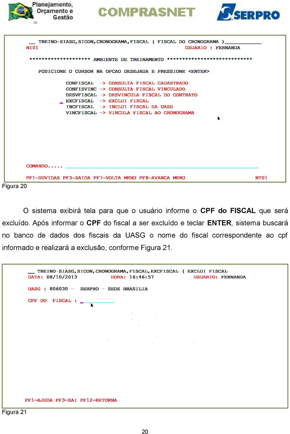 Após informar o CPF do fiscal a ser excluído e teclar ENTER, sistema buscará