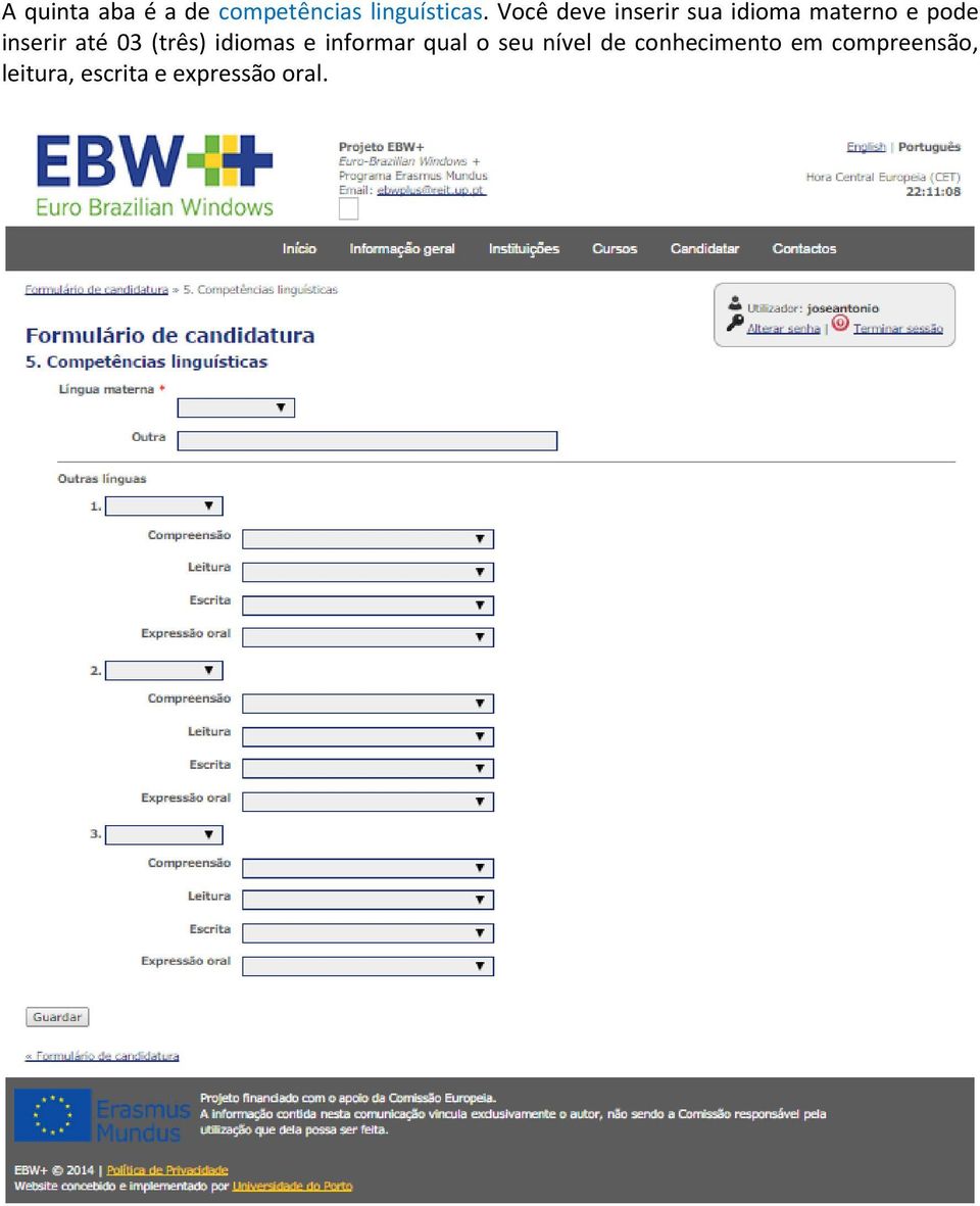até 03 (três) idiomas e informar qual o seu nível de