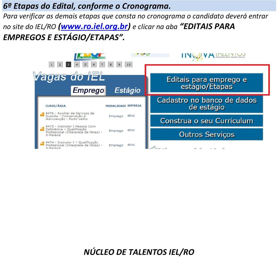 candidato deverá entrar no site do IEL/RO (www.ro.iel.org.