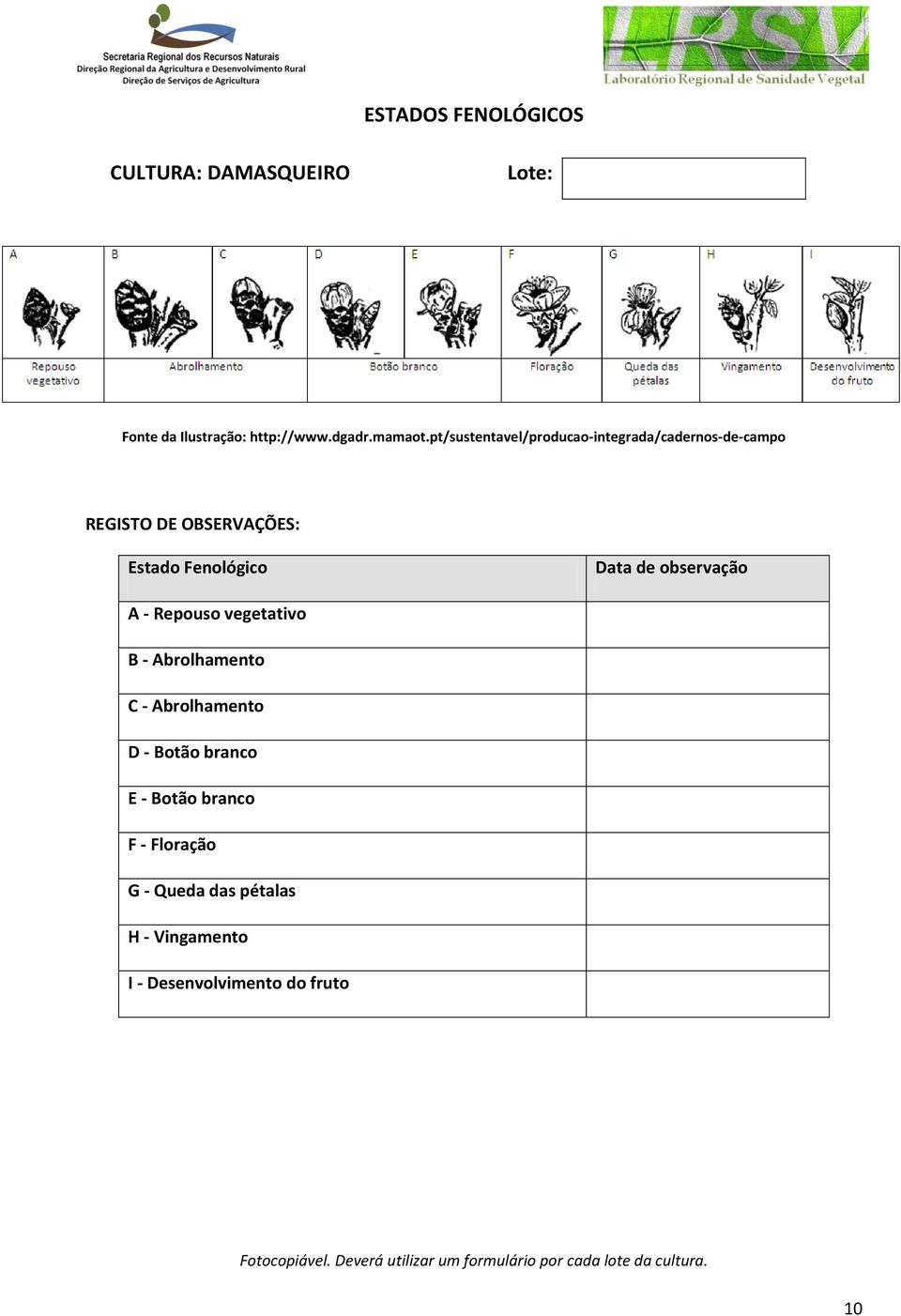 observação A - Repouso vegetativo B - Abrolhamento C - Abrolhamento D - Botão branco E - Botão branco F -