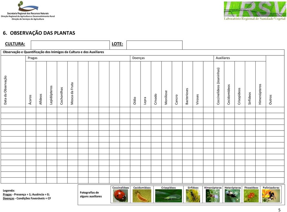 OBSERVAÇÃO DAS PLANTAS CULTURA: LOTE: Observação e Quantificação dos Inimigos da Cultura e dos Auxiliares Pragas