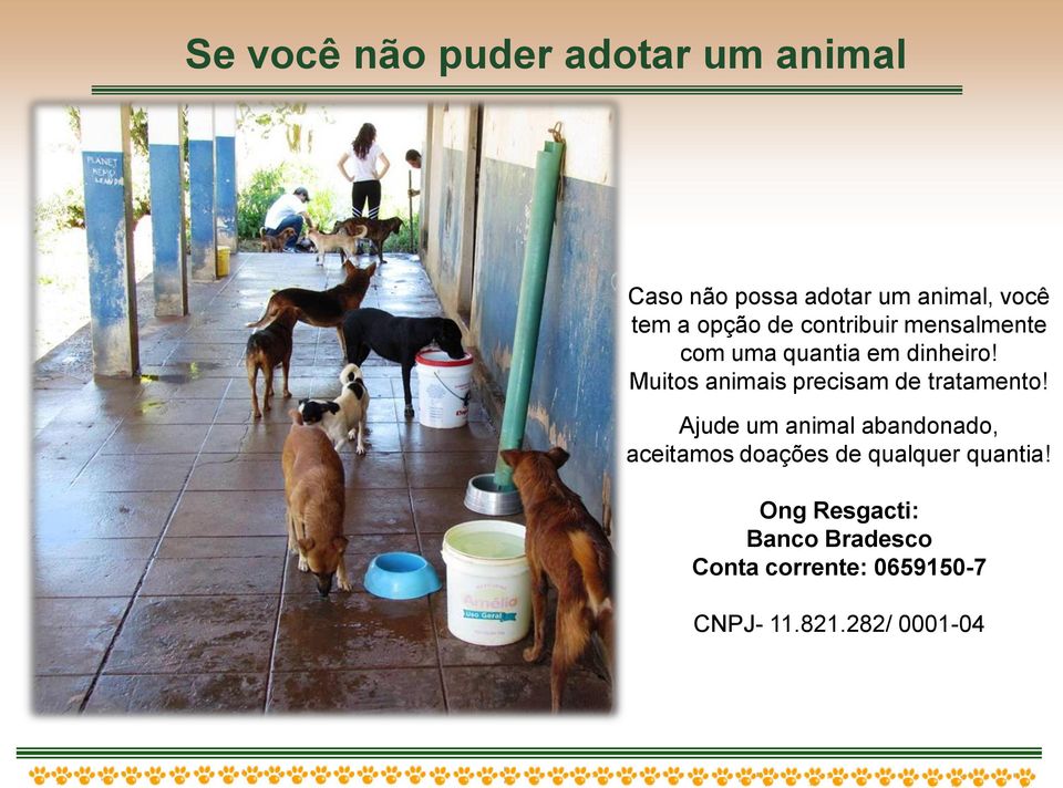 Muitos animais precisam de tratamento!