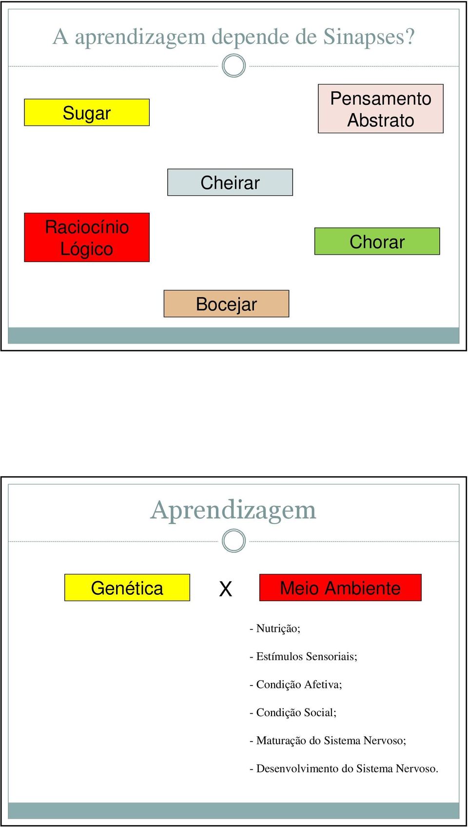 Aprendizagem Genética X Meio Ambiente - Nutrição; - Estímulos