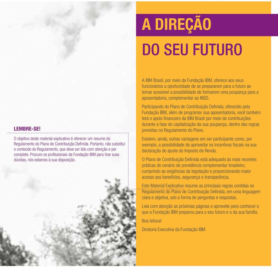 A IBM Brasil, por meio da Fundação IBM, oferece aos seus funcionários a oportunidade de se prepararem para o futuro ao tornar acessível a possibilidade de formarem uma poupança para a aposentadoria,