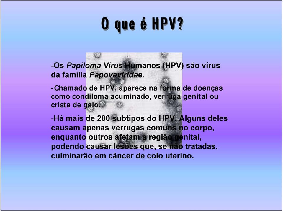 crista de galo. -Há mais de 200 subtipos do HPV.