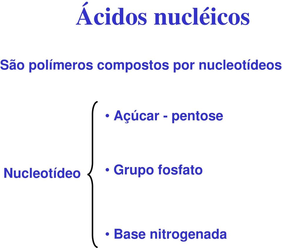 nucleotídeos Açúcar - pentose