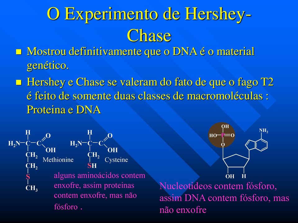 DNA H 2 N H C CH 2 CH 2 S CH 3 C O OH Methionine H 2 N H C CH 2 SH C O OH Cysteine alguns aminoácidos contem