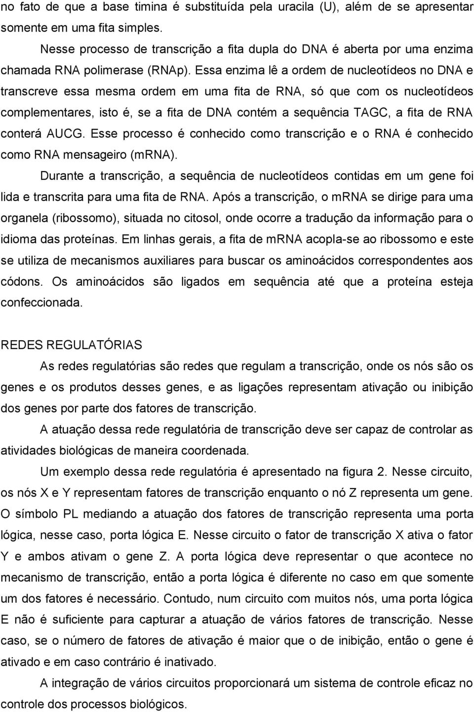 Essa enzima lê a ordem de nucleotídeos no DNA e transcreve essa mesma ordem em uma fita de RNA, só que com os nucleotídeos complementares, isto é, se a fita de DNA contém a sequência TAGC, a fita de