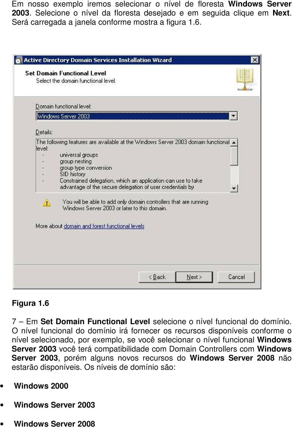 O nível funcional do domínio irá fornecer os recursos disponíveis conforme o nível selecionado, por exemplo, se você selecionar o nível funcional Windows Server 2003