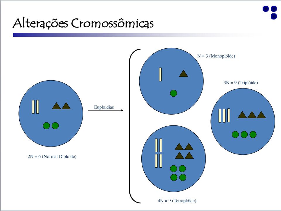 (Triplóide) Euploidias 2N = 6