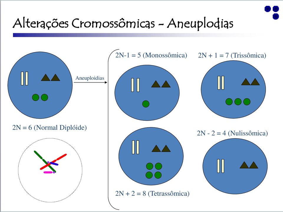 Aneuploidias 2N = 6 (Normal Diplóide) 2N -