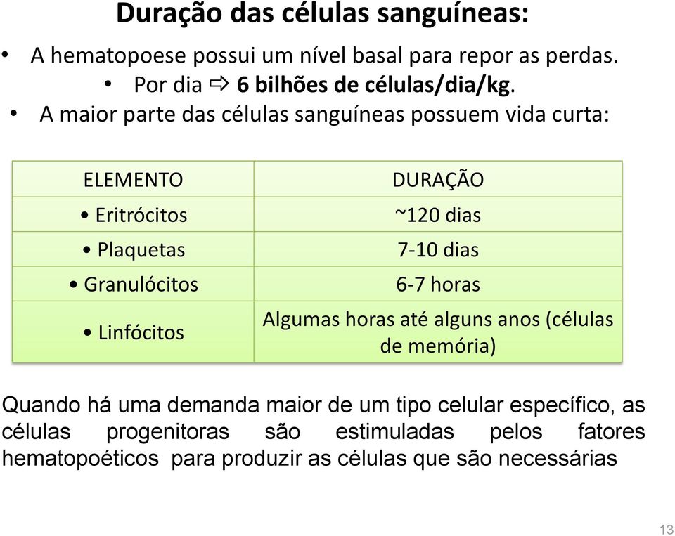 dias 7-10 dias 6-7 horas Algumas horas até alguns anos (células de memória) Quando há uma demanda maior de um tipo celular