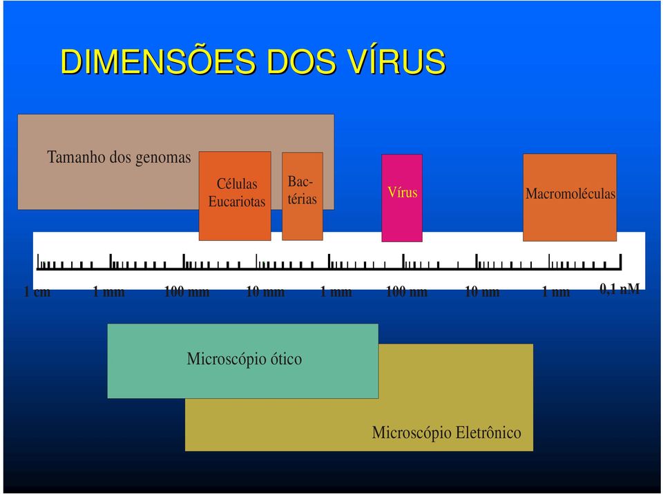 Macromoléculas 1 cm 1 mm 100 mm 10 mm 1 mm