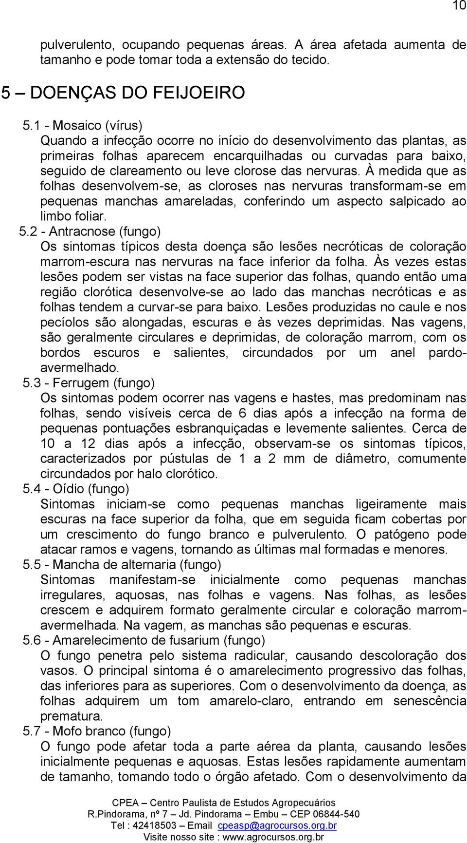 nervuras. À medida que as folhas desenvolvem-se, as cloroses nas nervuras transformam-se em pequenas manchas amareladas, conferindo um aspecto salpicado ao limbo foliar. 5.