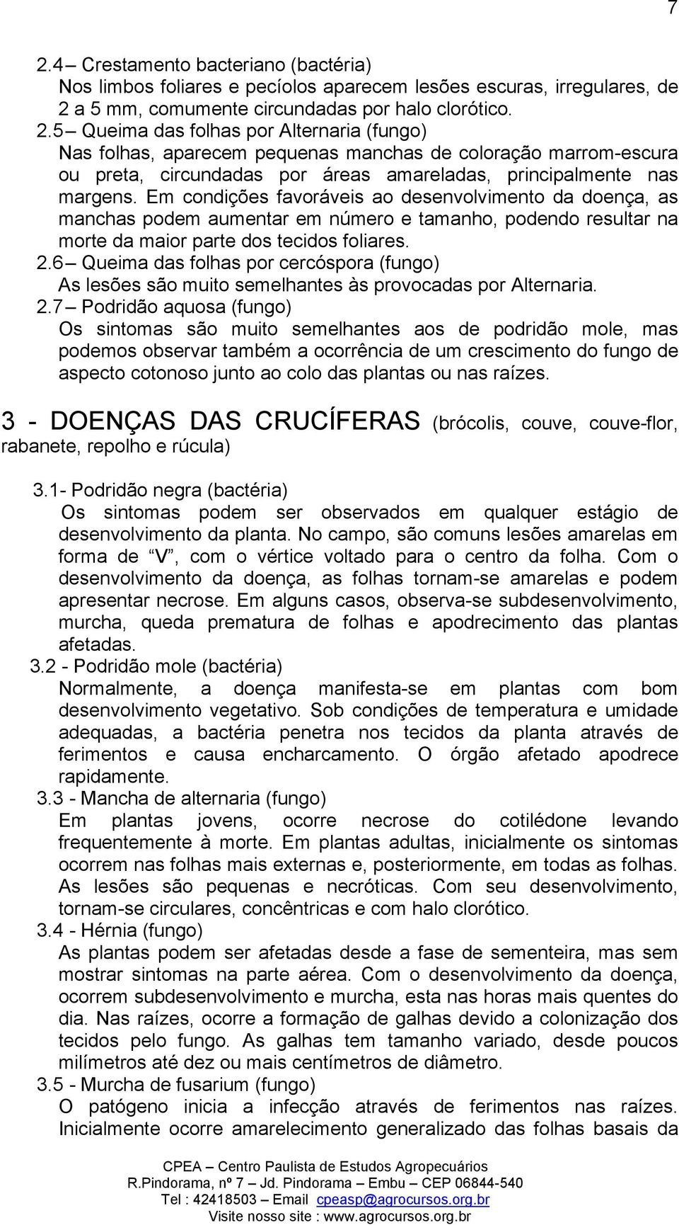 6 Queima das folhas por cercóspora (fungo) As lesões são muito semelhantes às provocadas por Alternaria. 2.