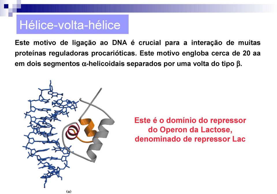 Este motivo engloba cerca de 20 aa em dois segmentos α-helicoidais separados