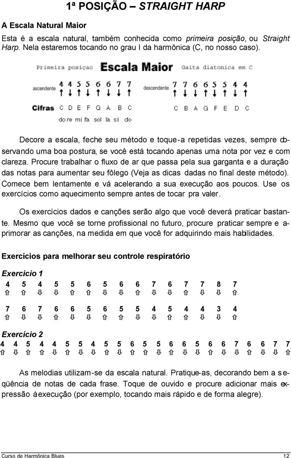 Procure trabalhar o fluxo de ar que passa pela sua garganta e a duração das notas para aumentar seu fôlego (Veja as dicas dadas no final deste método).