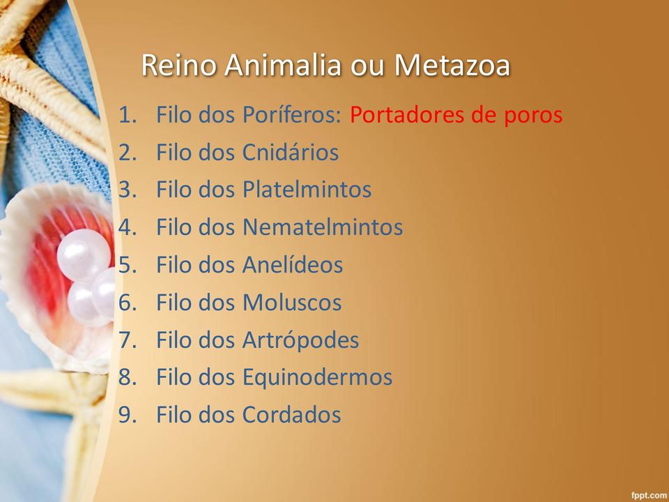 Filo dos Nematelmintos 5. Filo dos Anelídeos 6.