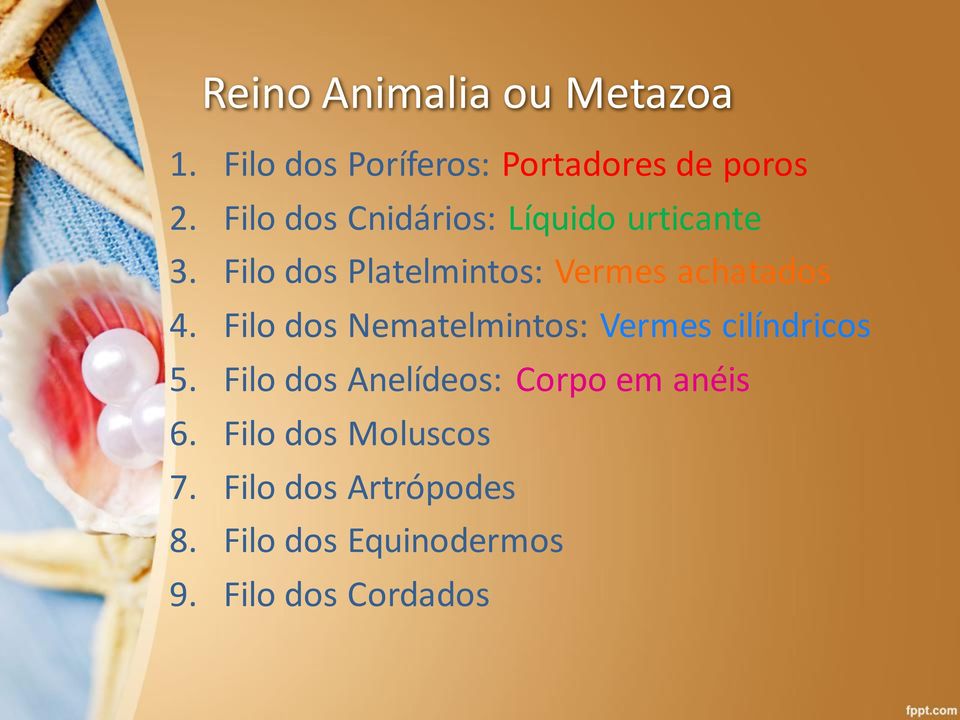 Filo dos Platelmintos: Vermes achatados 4.