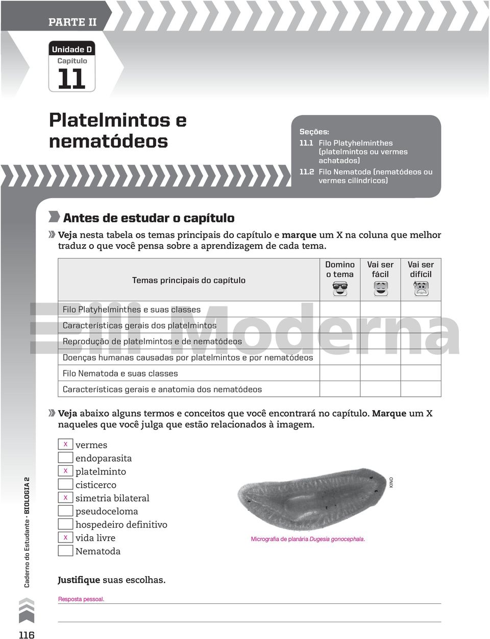 difícil Filo Platyhelminthes e suas classes Características gerais dos platelmintos Reprodução de platelmintos e de Doenças humanas causadas por platelmintos e por Filo Nematoda e suas classes