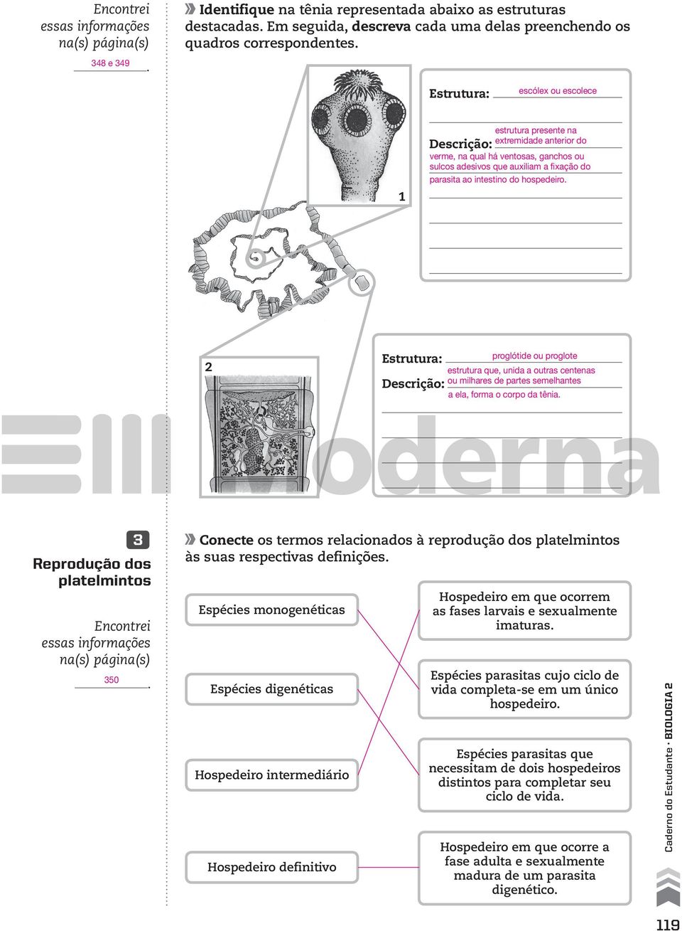 ou proglote estrutura que, unida a outras centenas ou milhares de partes semelhantes a ela, forma o corpo da tênia 3 Reprodução dos platelmintos 350 Conecte os termos relacionados à reprodução dos