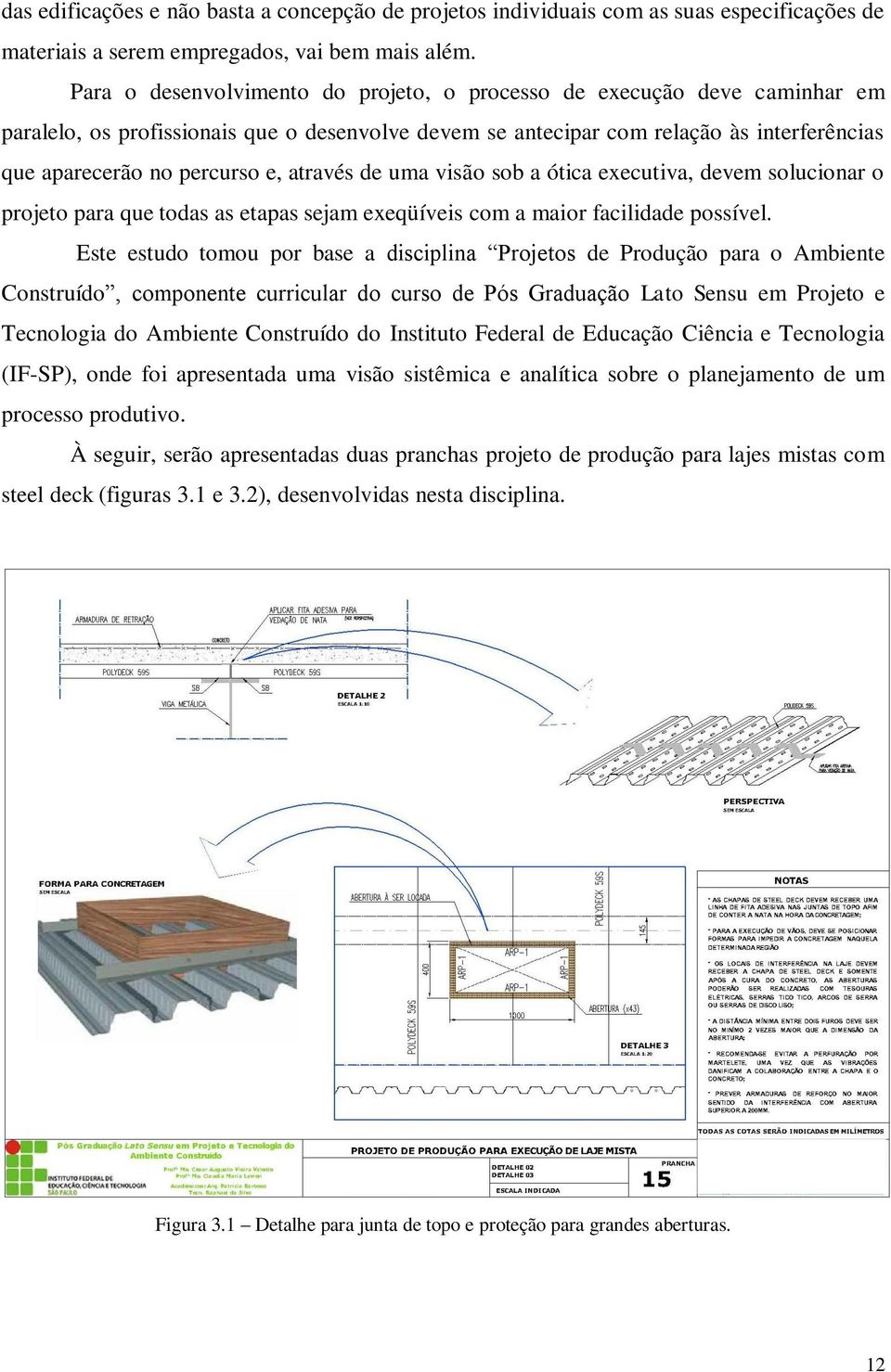 através de uma visão sob a ótica executiva, devem solucionar o projeto para que todas as etapas sejam exeqüíveis com a maior facilidade possível.