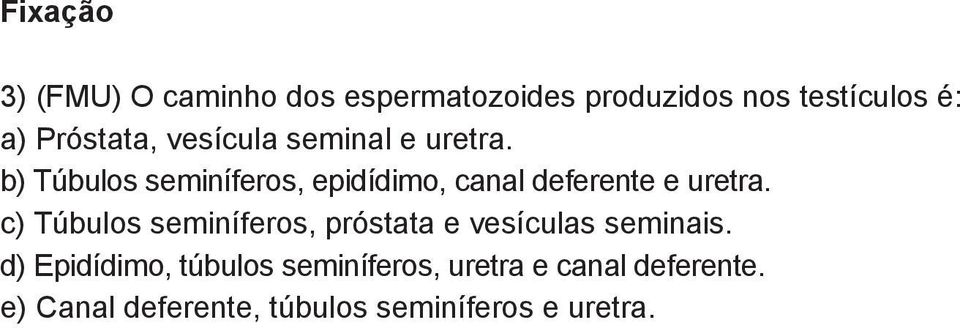 ) Túbulos seminíferos, epidídimo, canal deferente e uretra.