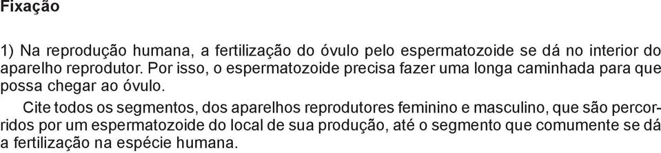 Por isso, o espermatozoide precisa fazer uma longa caminhada para que possa chegar ao óvulo.