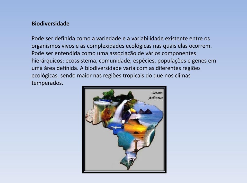 Pode ser entendida como uma associação de vários componentes hierárquicos: ecossistema, comunidade,