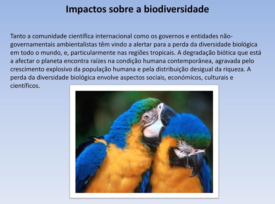 A degradação biótica que está a afectar o planeta encontra raízes na condição humana contemporânea, agravada pelo crescimento explosivo