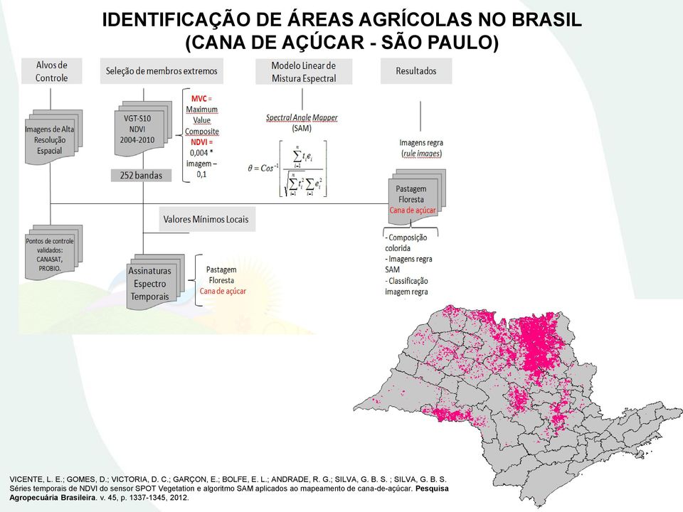 B. S. Séries temporais de NDVI do sensor SPOT Vegetation e algoritmo SAM aplicados ao