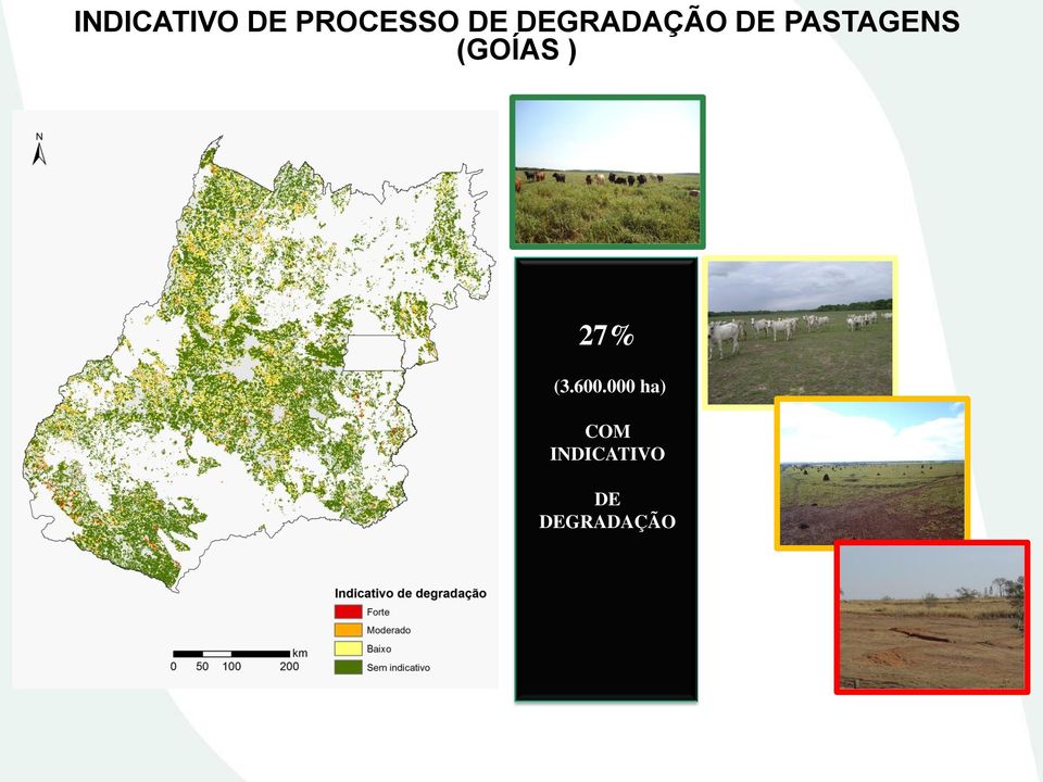 (GOÍAS ) 27% (3.600.