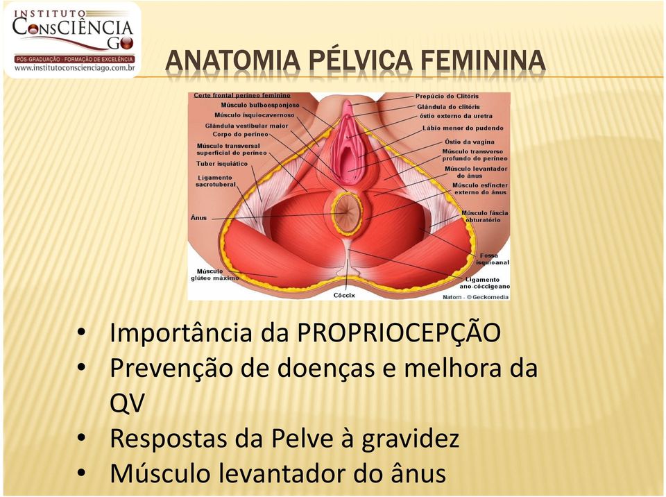 Prevenção de doenças e melhora da QV