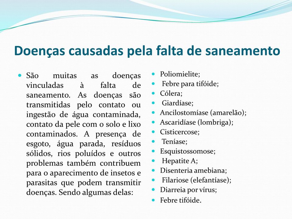 A presença de esgoto, água parada, resíduos sólidos, rios poluídos e outros problemas também contribuem para o aparecimento de insetos e parasitas que podem