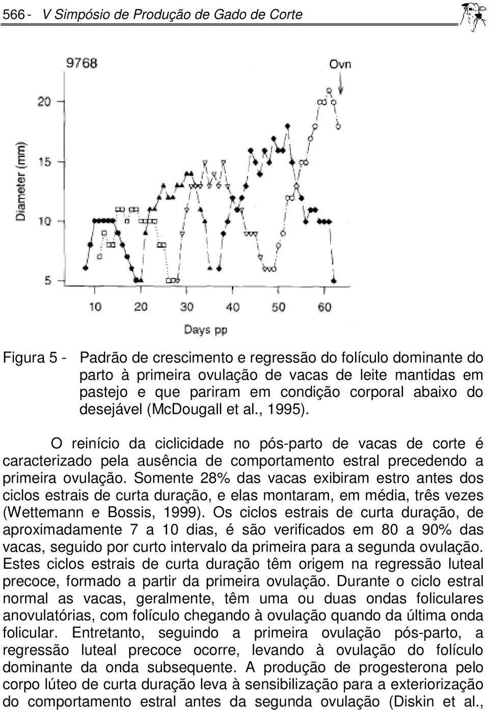 O reinício da ciclicidade no pós-parto de vacas de corte é caracterizado pela ausência de comportamento estral precedendo a primeira ovulação.