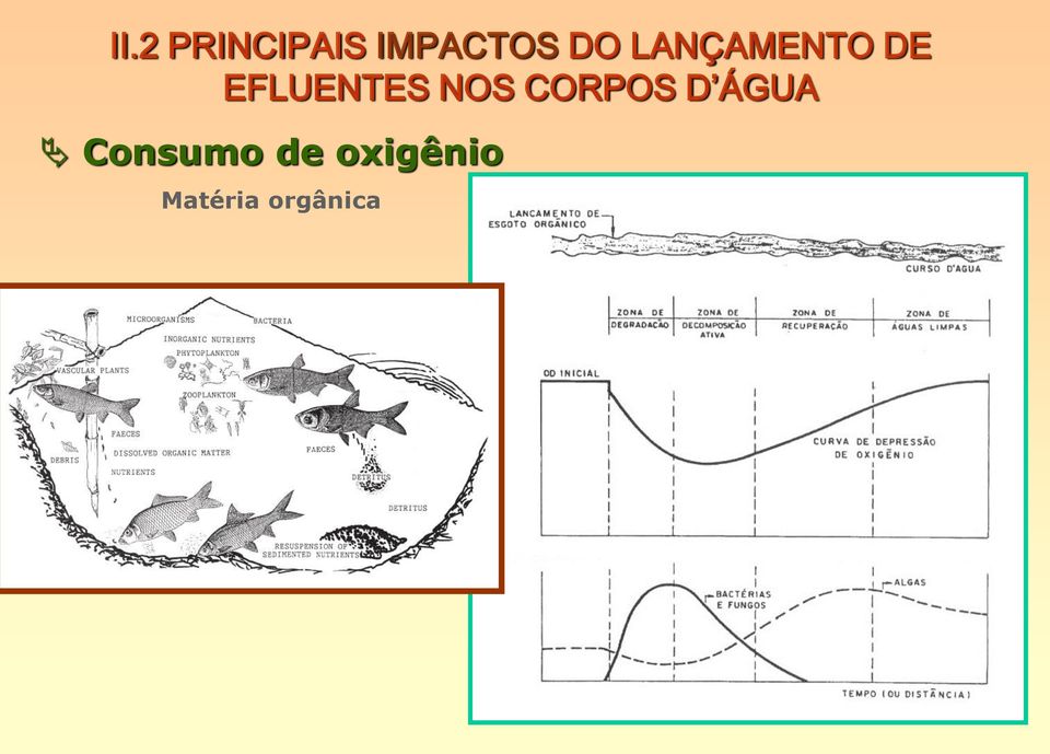 NOS CORPOS D ÁGUA Consumo