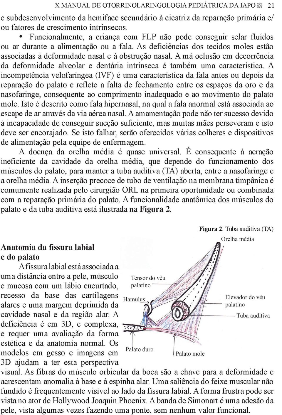 A má oclusão em decorrência da deformidade alveolar e dentária intrínseca é também uma característica.