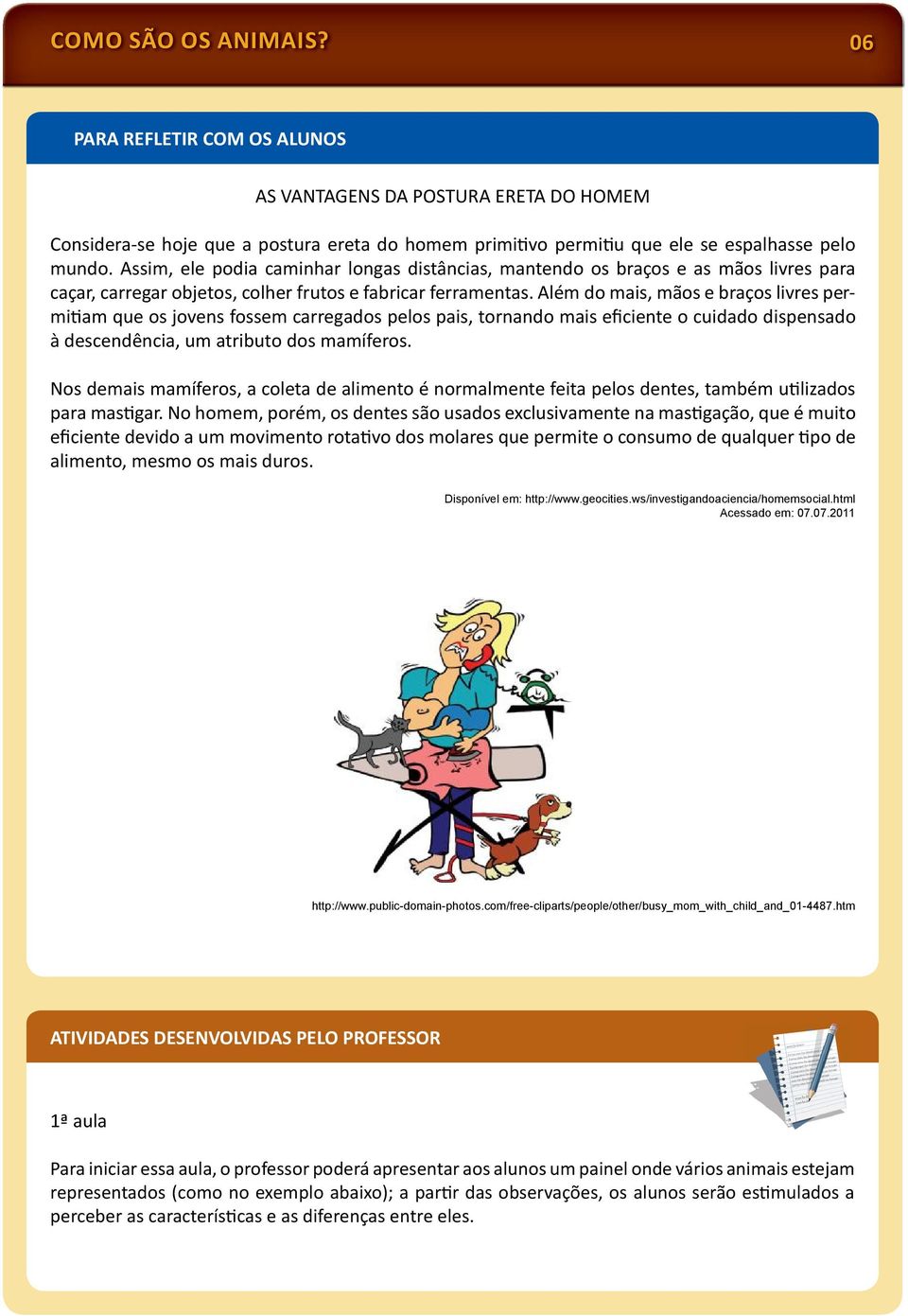 Além do mais, mãos e braços livres permi am que os jovens fossem carregados pelos pais, tornando mais eficiente o cuidado dispensado à descendência, um atributo dos mamíferos.